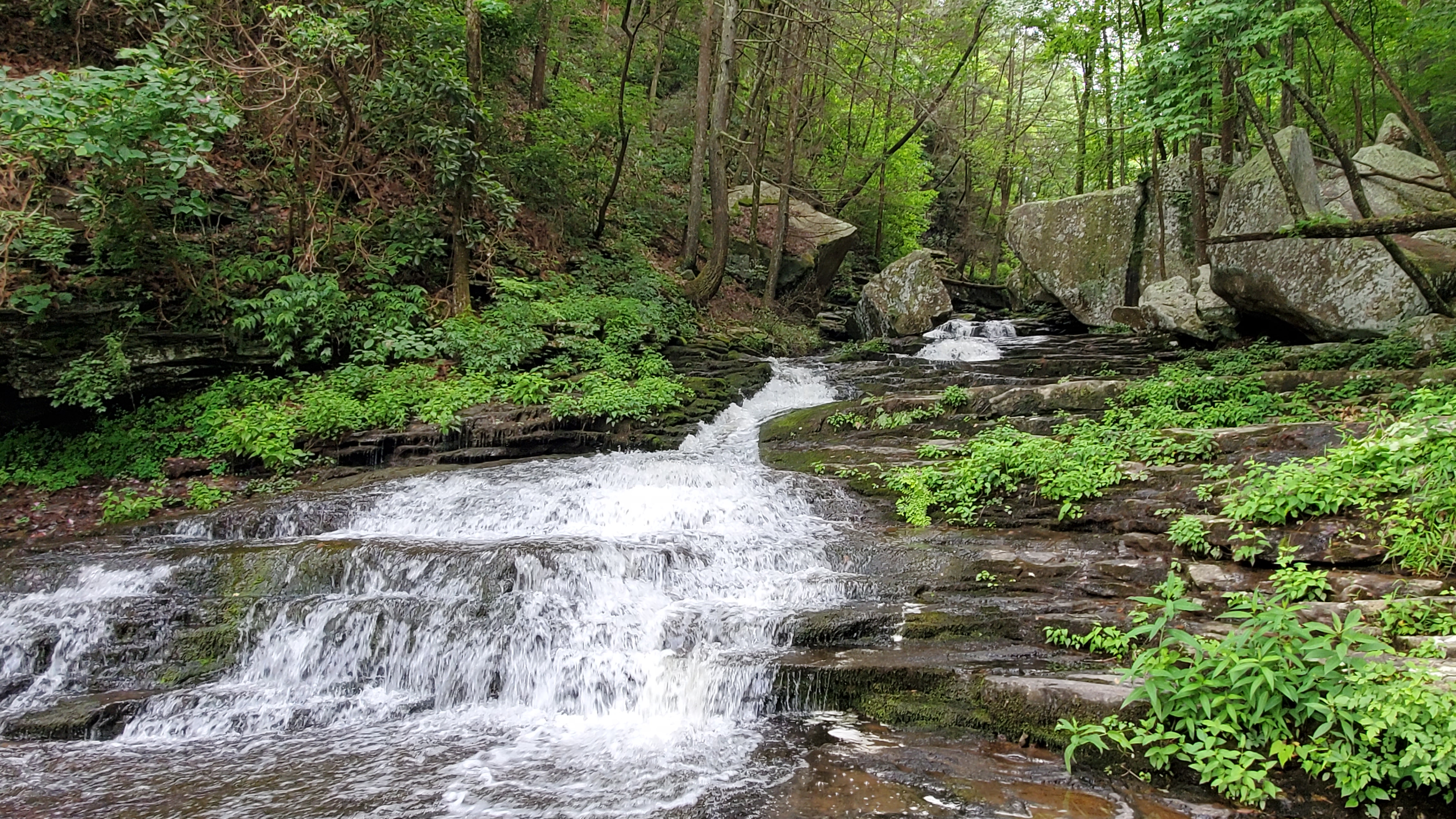 Cloudland Canyon summer view